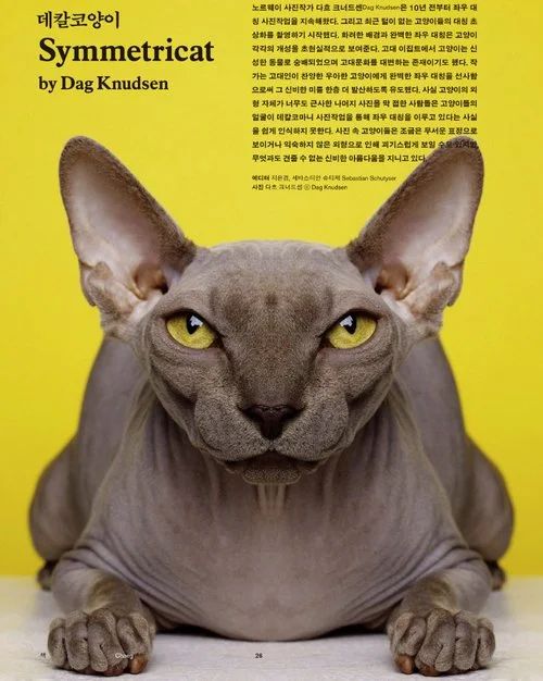 Editorial: Symmetricat