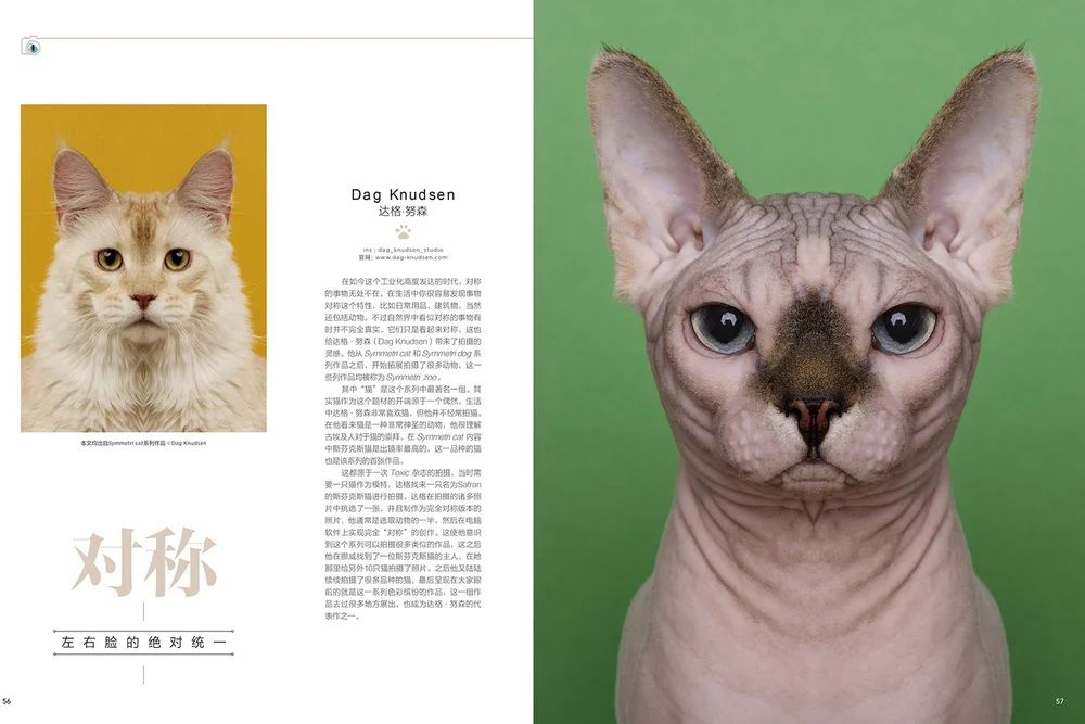 Editorial: Symmetricat