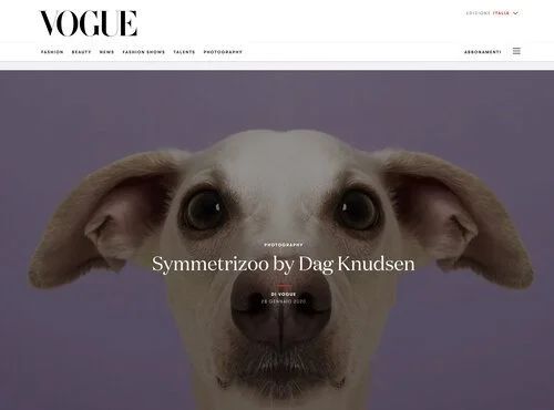 Editorial: Vogue