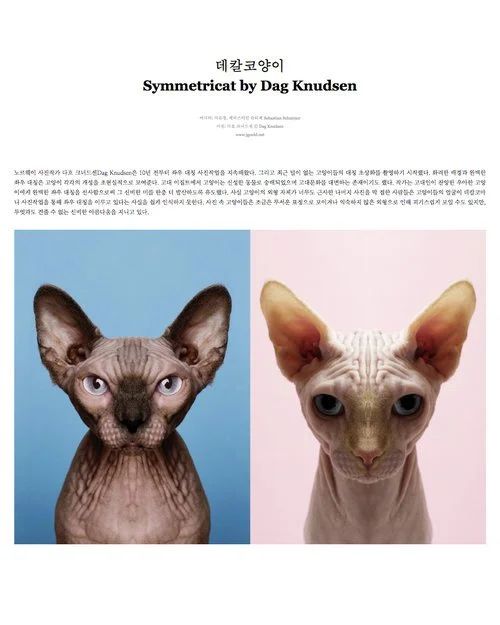 Editorial: Symmetricat